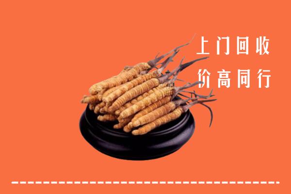 高价求购：防城港回收散虫草