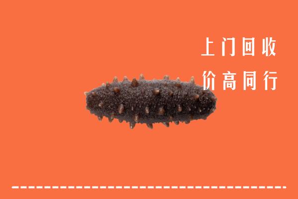 高价求购：防城港回收海参