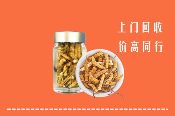 防城港高价回收冬虫夏草